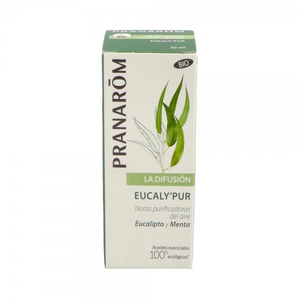PRANAROM EUCALYPUR 14751
